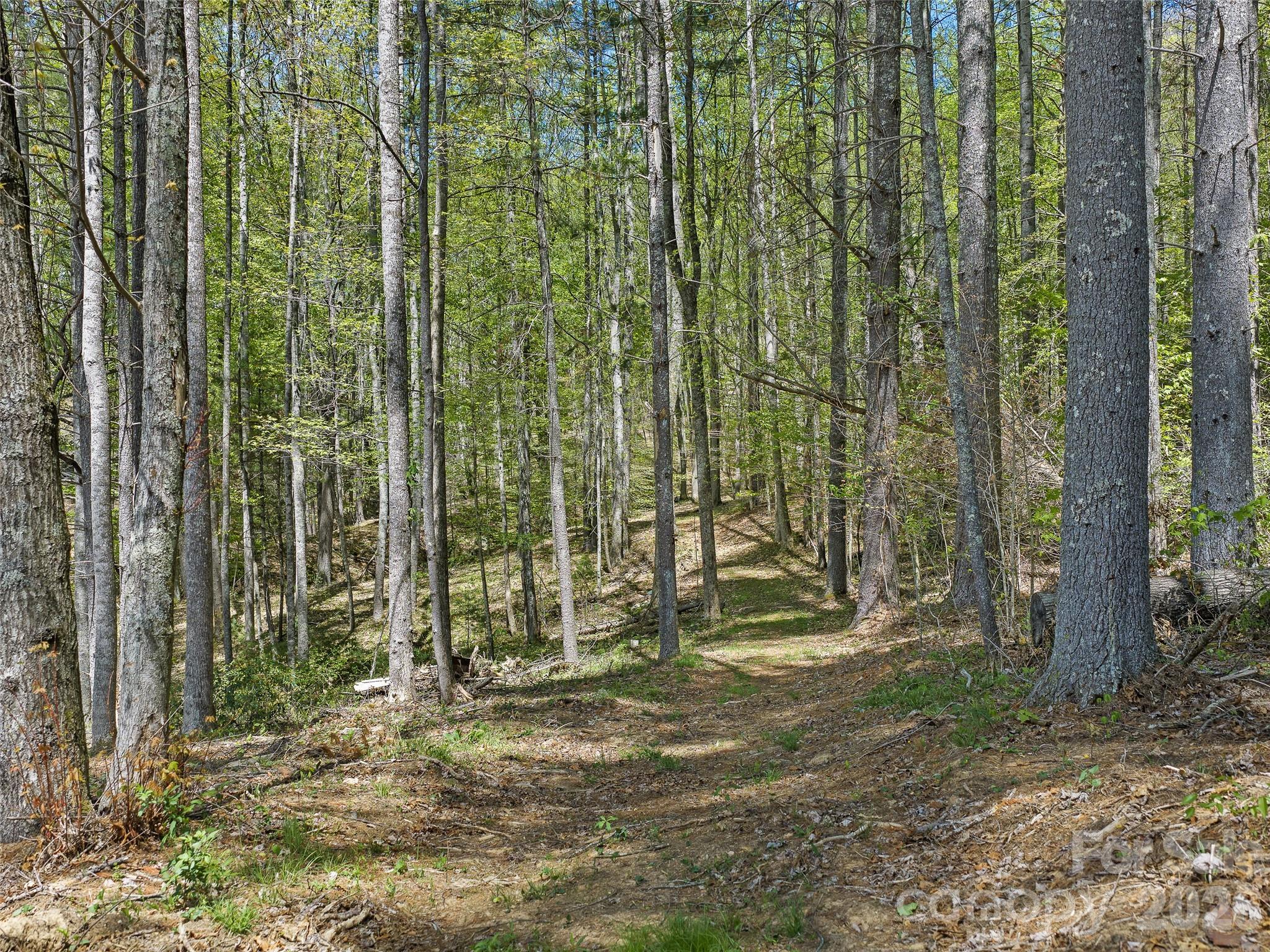 Acreage at 0 Satinwood Drive, Burnsville, photo 3 of 14