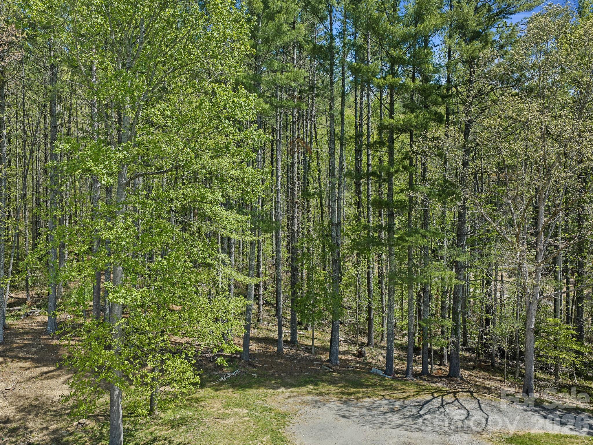 Acreage at 0 Satinwood Drive, Burnsville, photo 5 of 14