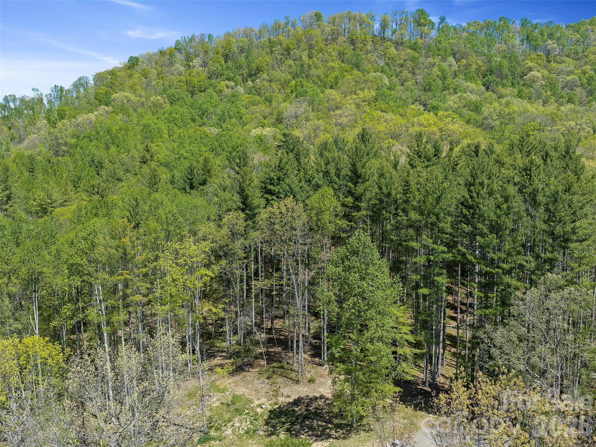 Acreage at 0 Satinwood Drive, Burnsville, photo 11 of 14