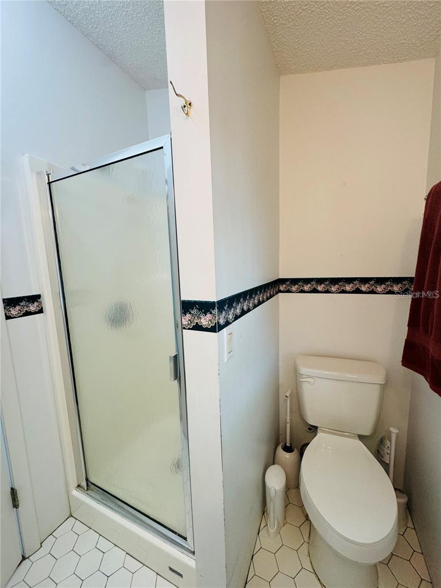 Bathroom 2 with shower - 917 ST GEORGE DR, DAVENPORT