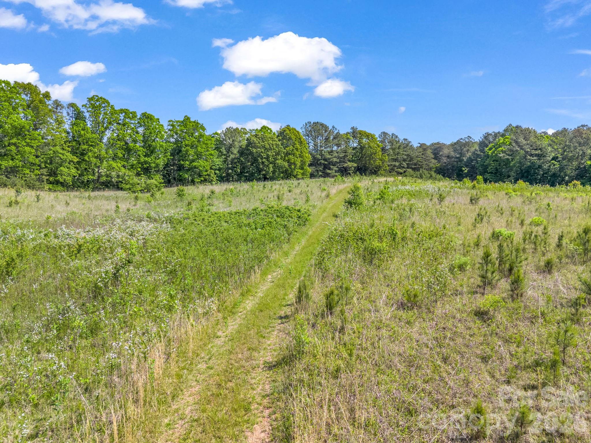 Acreage at 0 S Hwy 9 Highway, Columbus, photo 23 of 36
