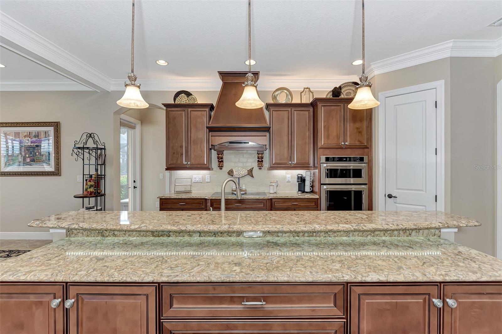 Single Family Residence at 10965 BULLRUSH DR, VENICE, photo 21 of 94