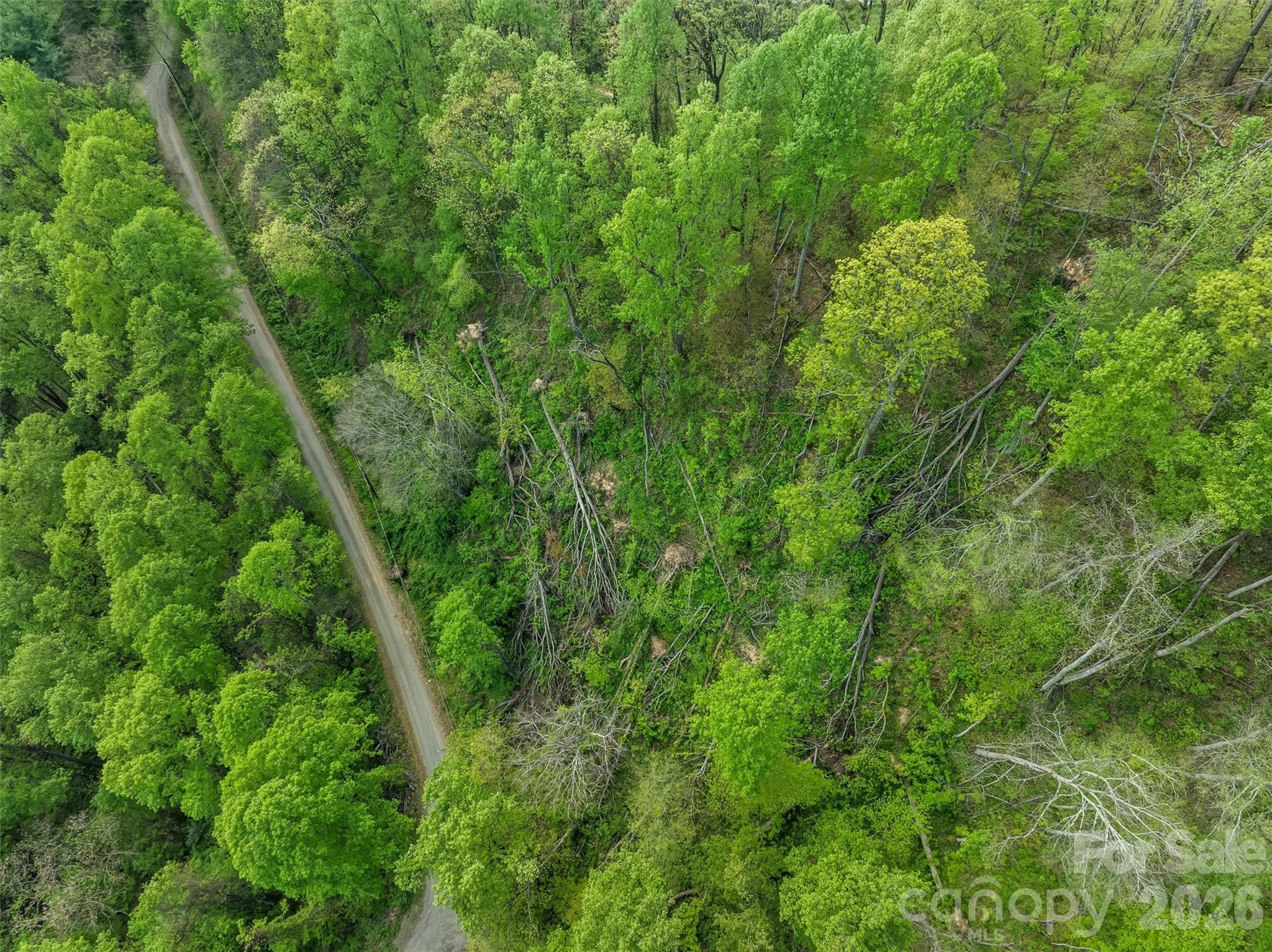 Lot at TBD Jacks Knob Road, Barnardsville