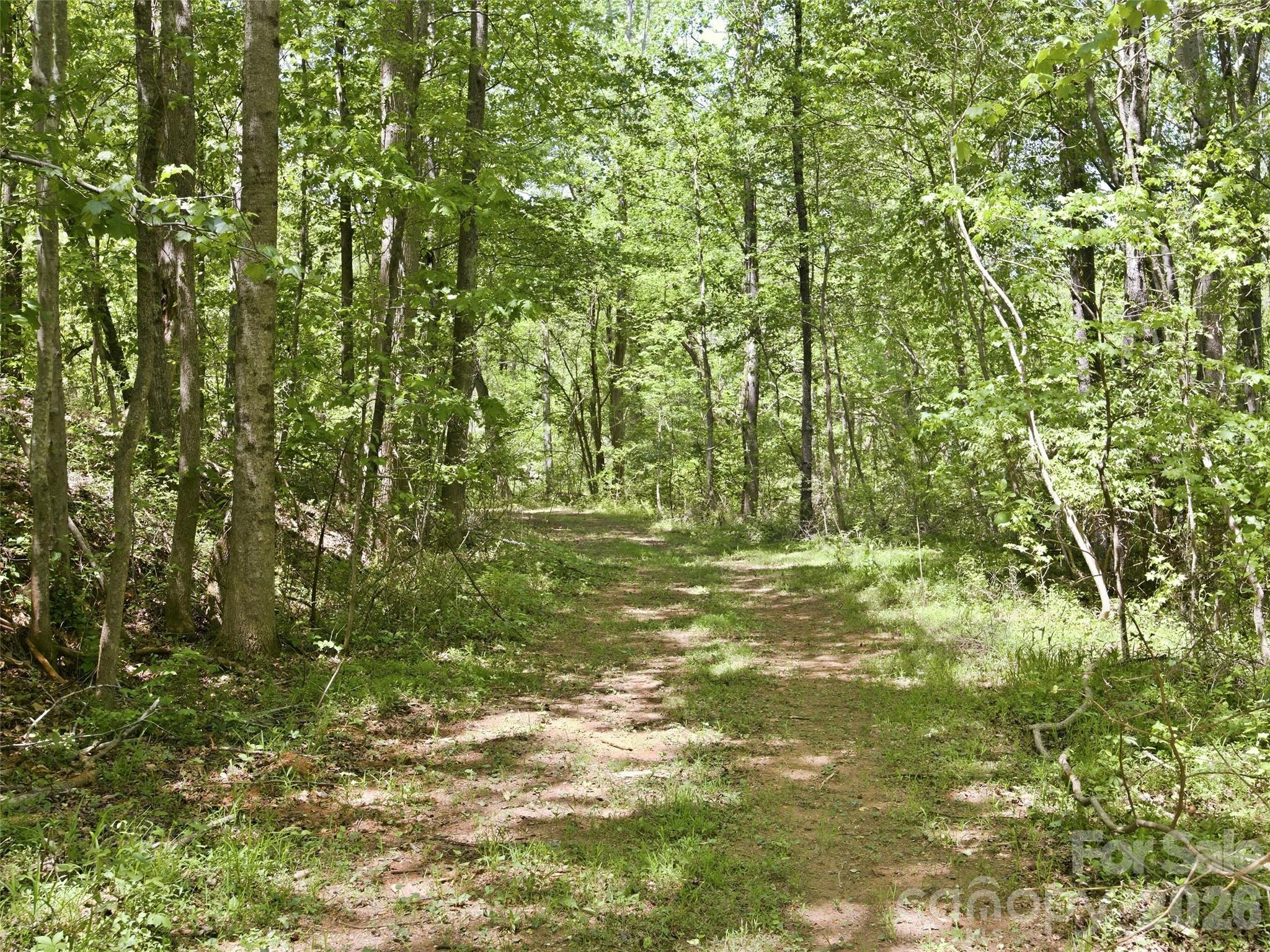 Clearing in place for a driveway - 450 Washington Street, Forest City