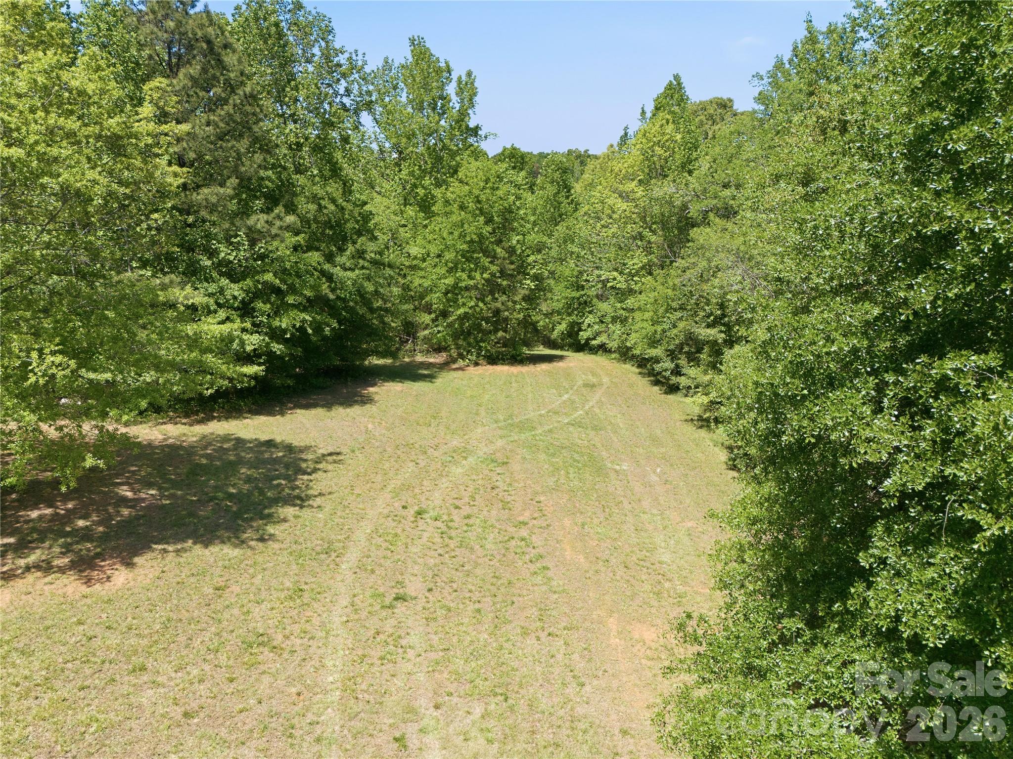 Take time to walk the land. The possibilities are endless! - 450 Washington Street, Forest City