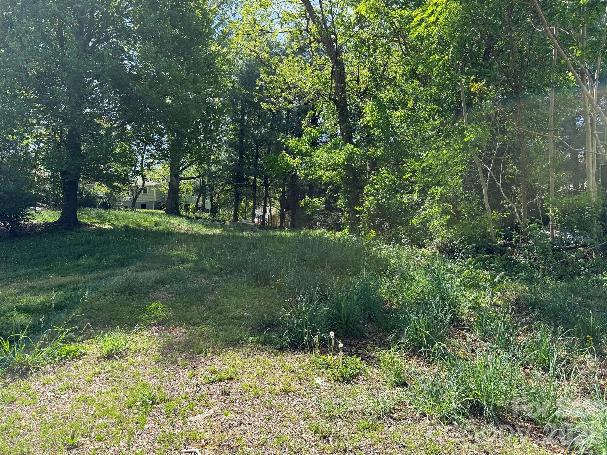 Lot 108 Mace Avenue - Lot 108 Mace Avenue, Asheville