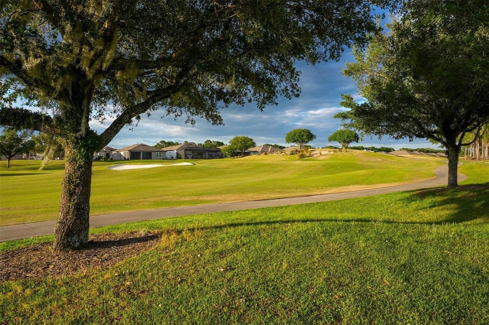 Single Family Residence at 9021 SW 57TH PLACE RD, OCALA, photo 81 of 98