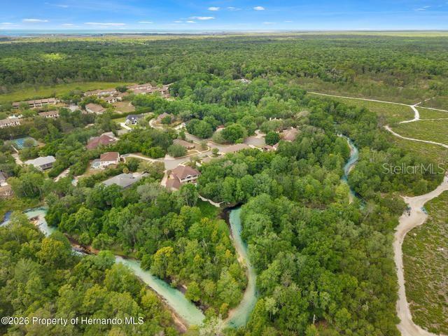 Weeki Wachee River - 6153 NEW OSPREY PT, SPRING HILL