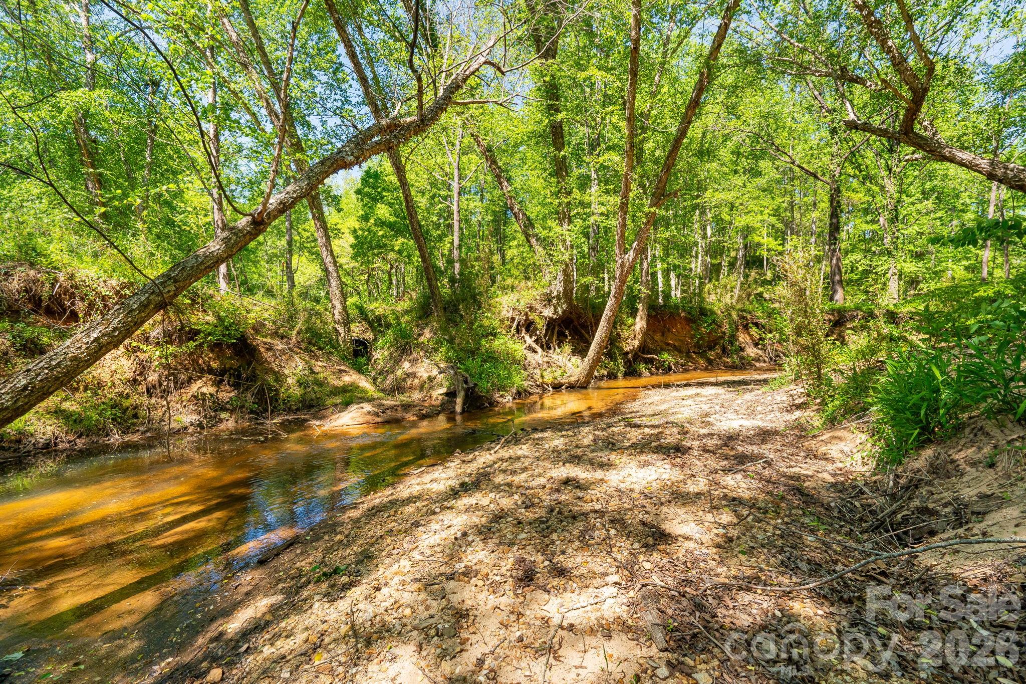 Lot at 304 Richardson Creek Lane, Forest City, photo 9 of 22
