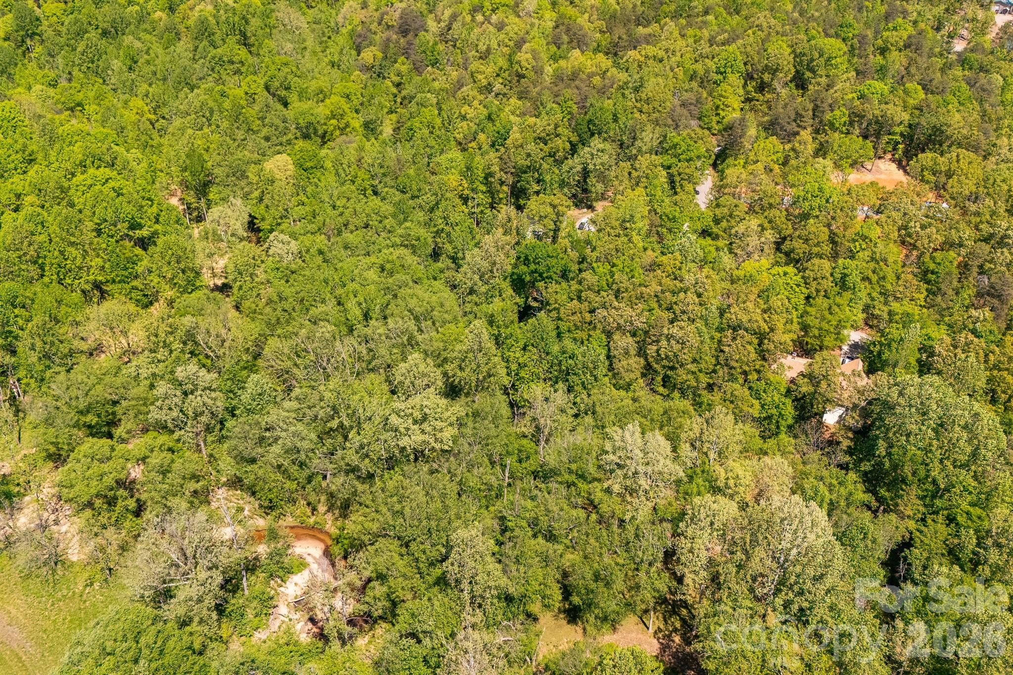 Lot at 304 Richardson Creek Lane, Forest City, photo 12 of 22
