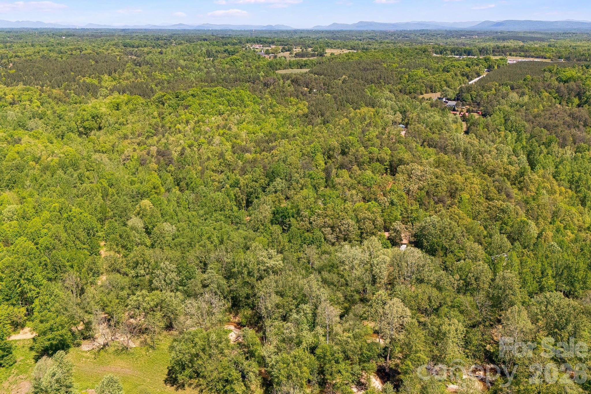 Lot at 304 Richardson Creek Lane, Forest City, photo 17 of 22