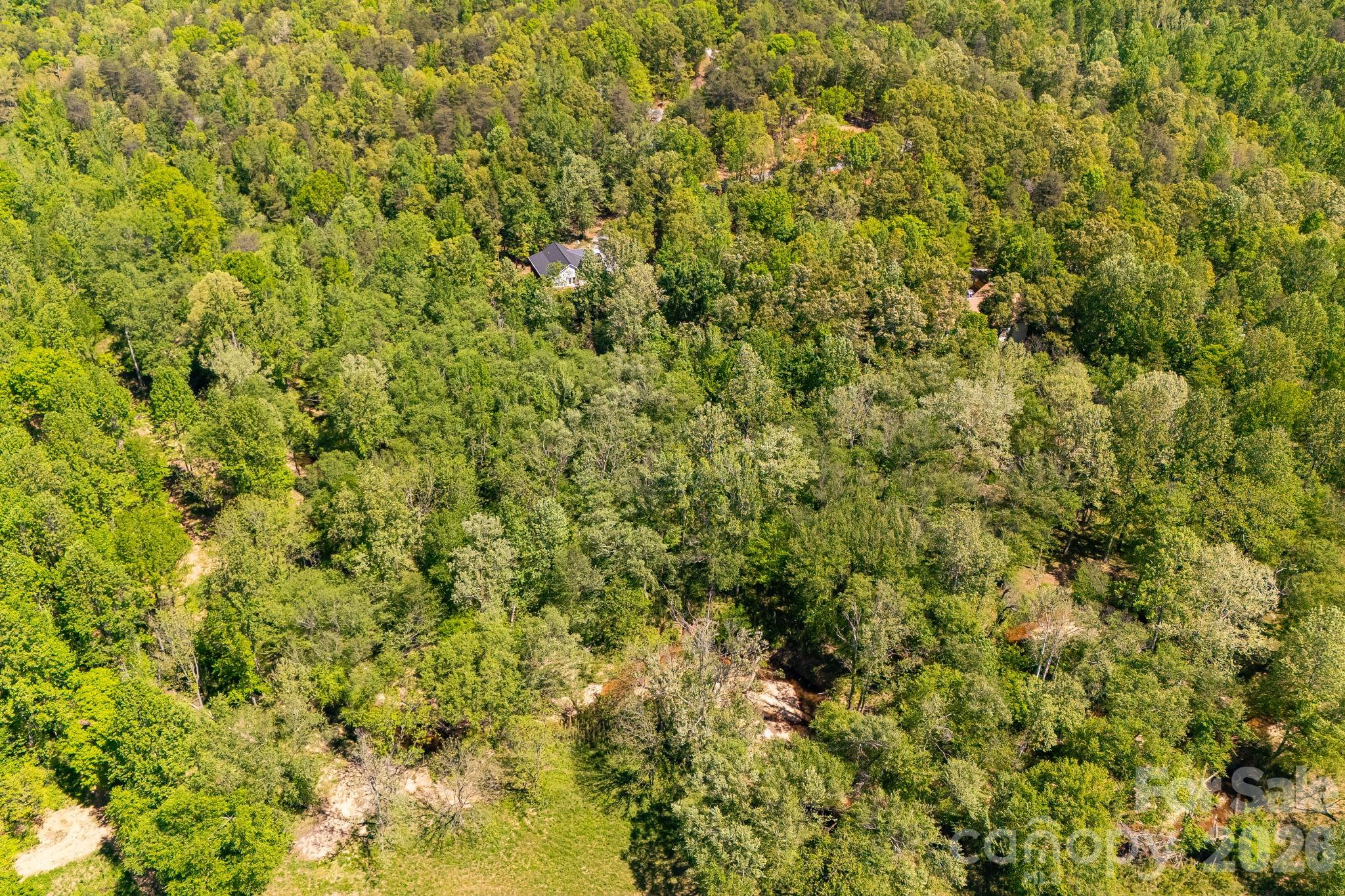 Lot at 304 Richardson Creek Lane, Forest City, photo 20 of 22