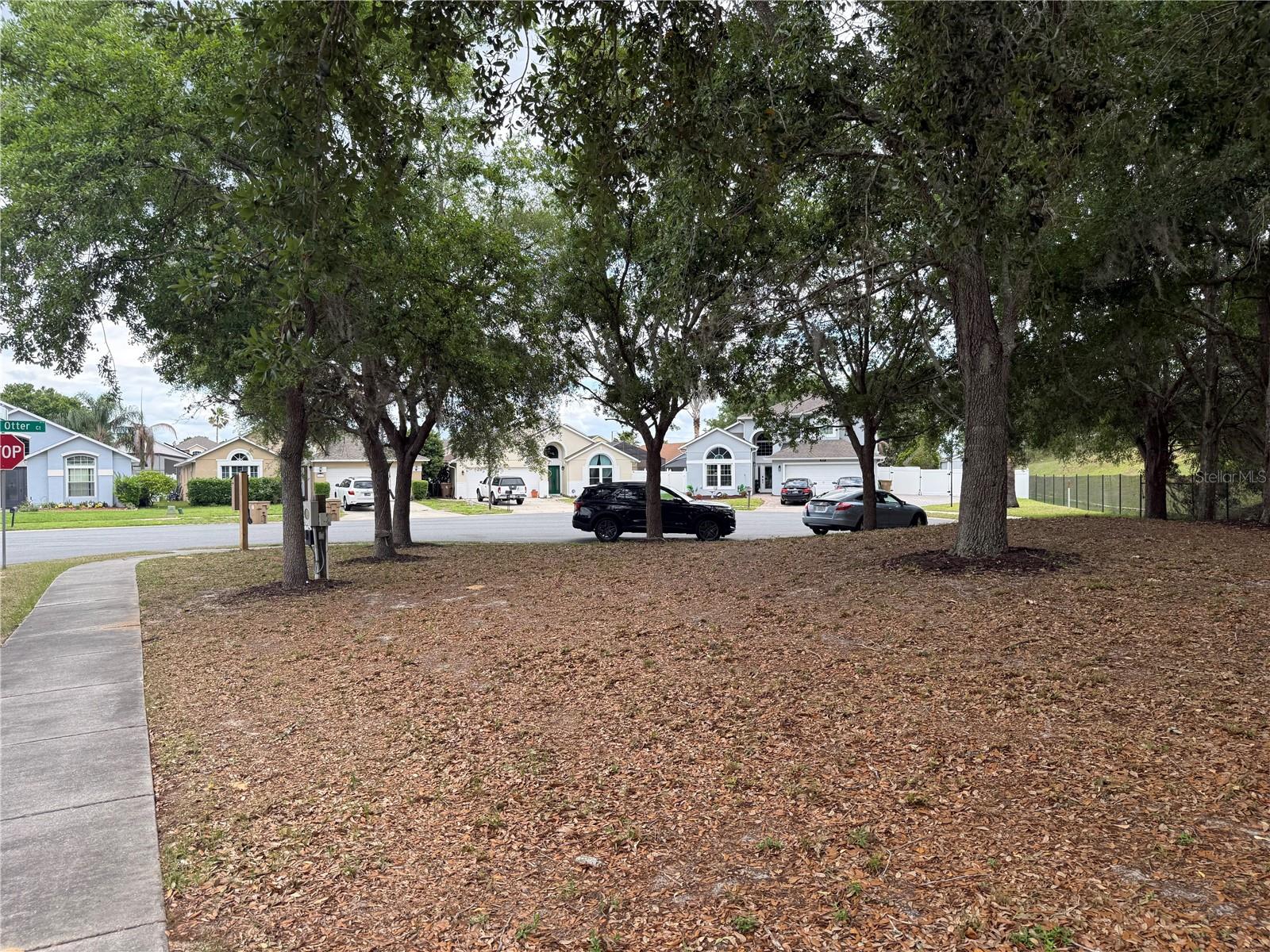 Single Family Residence at 8128 YELLOW CRANE DR, KISSIMMEE, photo 3 of 55