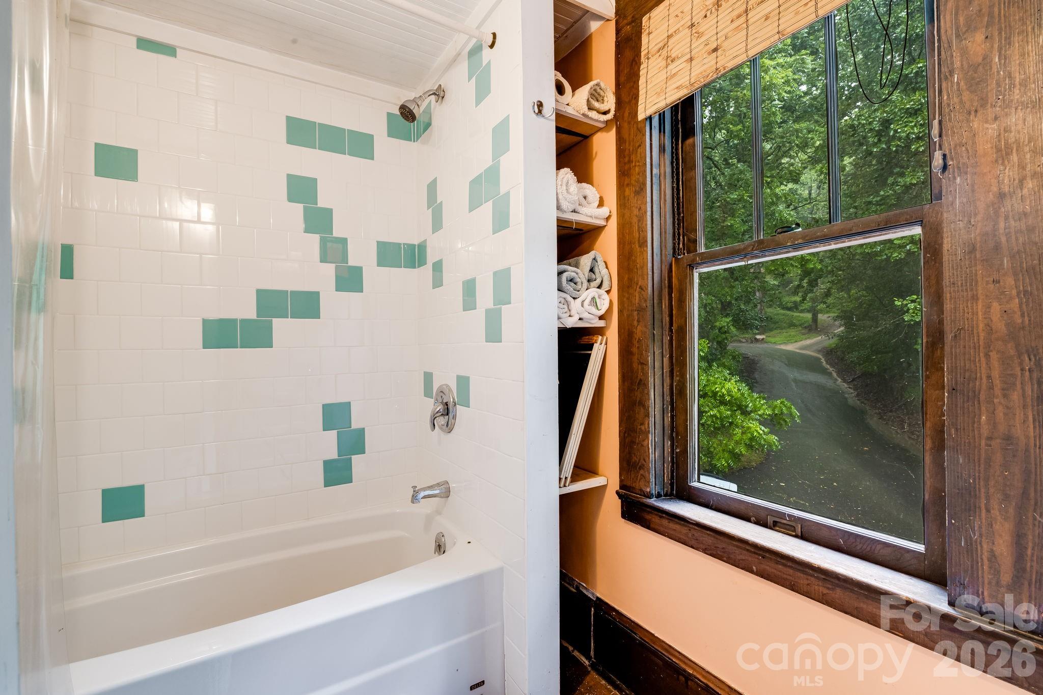 Single Family Residence at 257 Henderson Drive, Hot Springs, photo 20 of 39