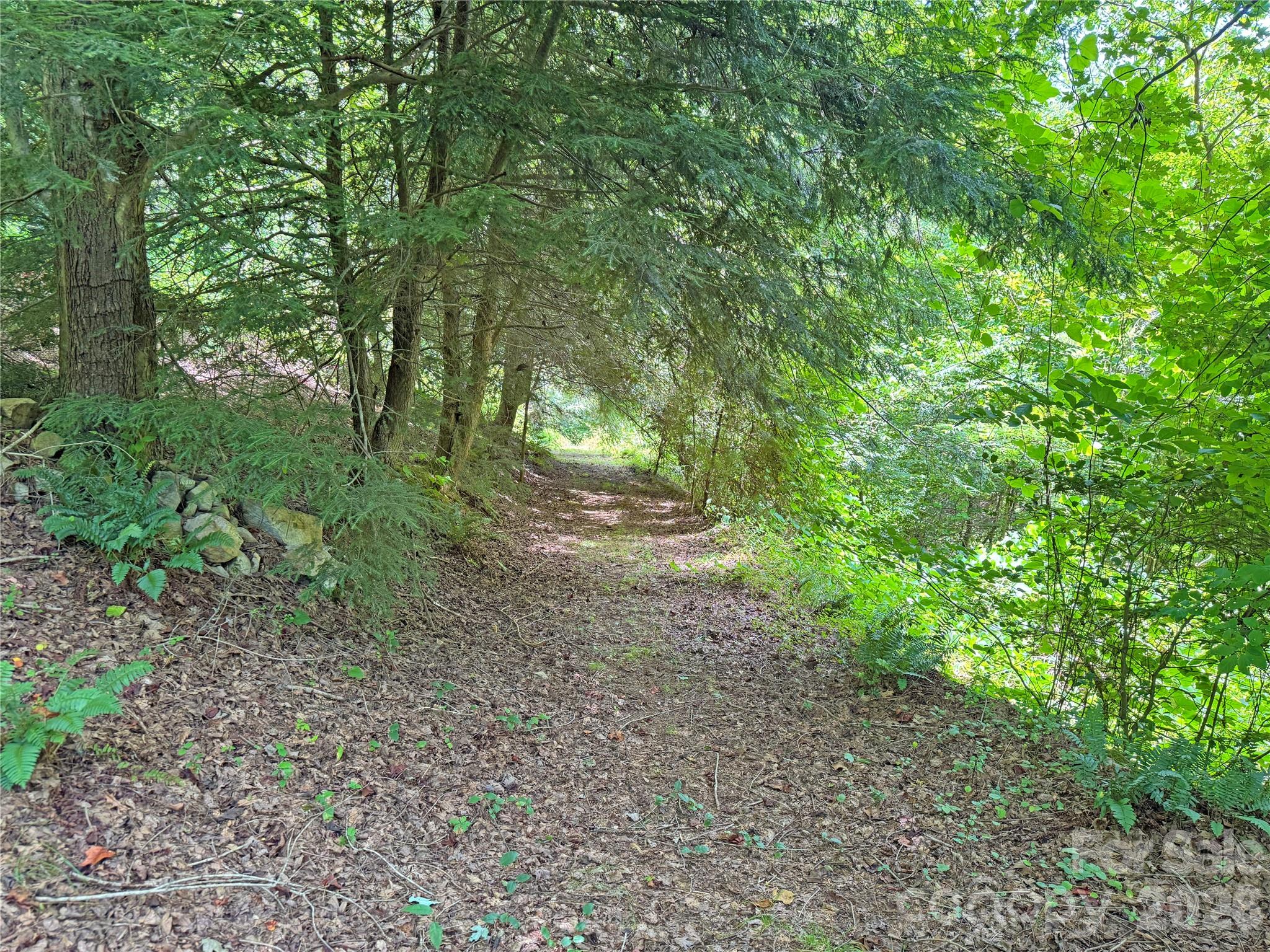 Trail to creek - 257 Henderson Drive, Hot Springs