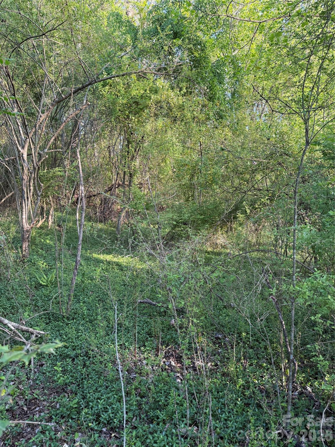 Acreage at 00 Cashiers Valley Road, Brevard, photo 4 of 10