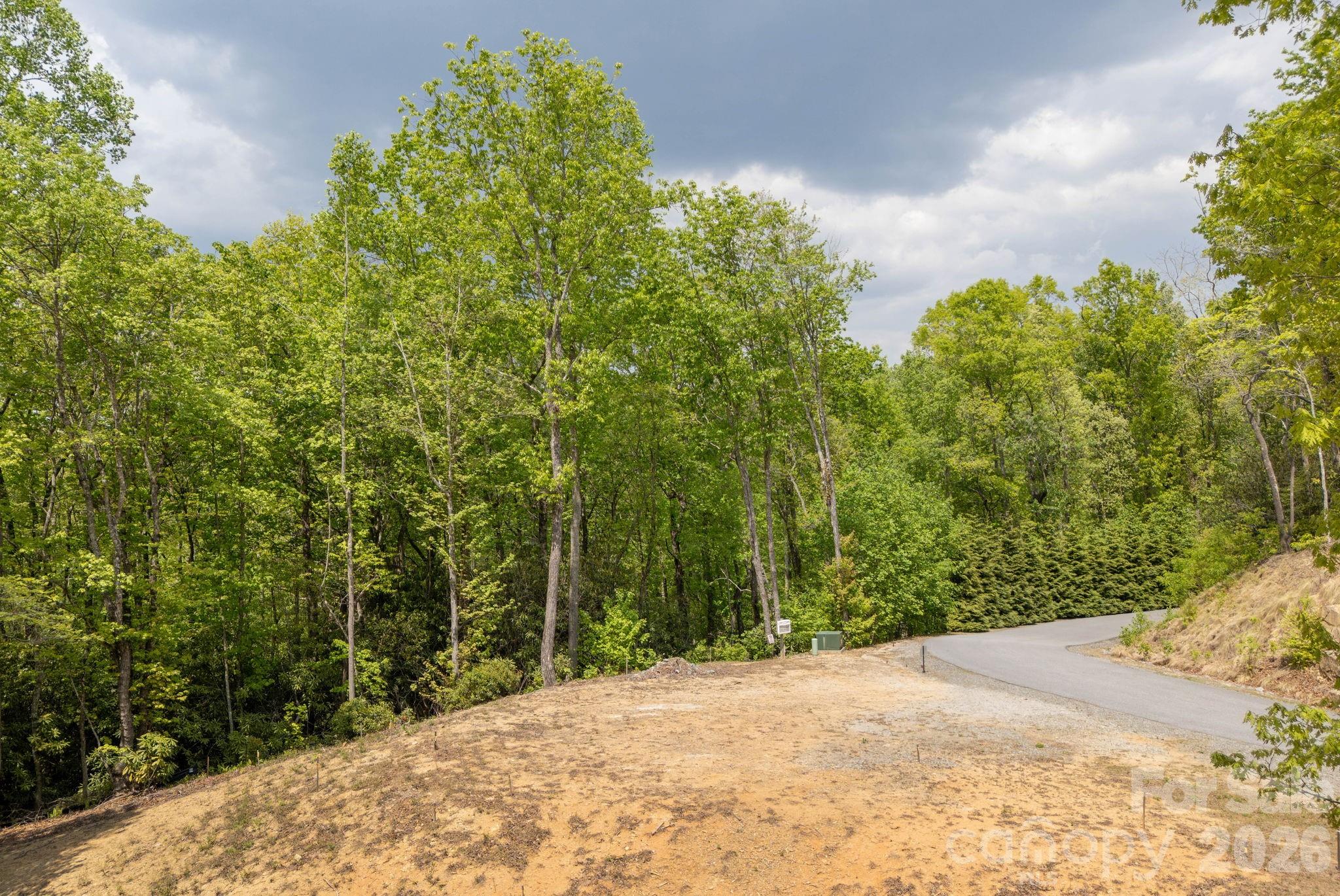 View of building site and road leading to gate - 106 Skydance Trail, Hendersonville