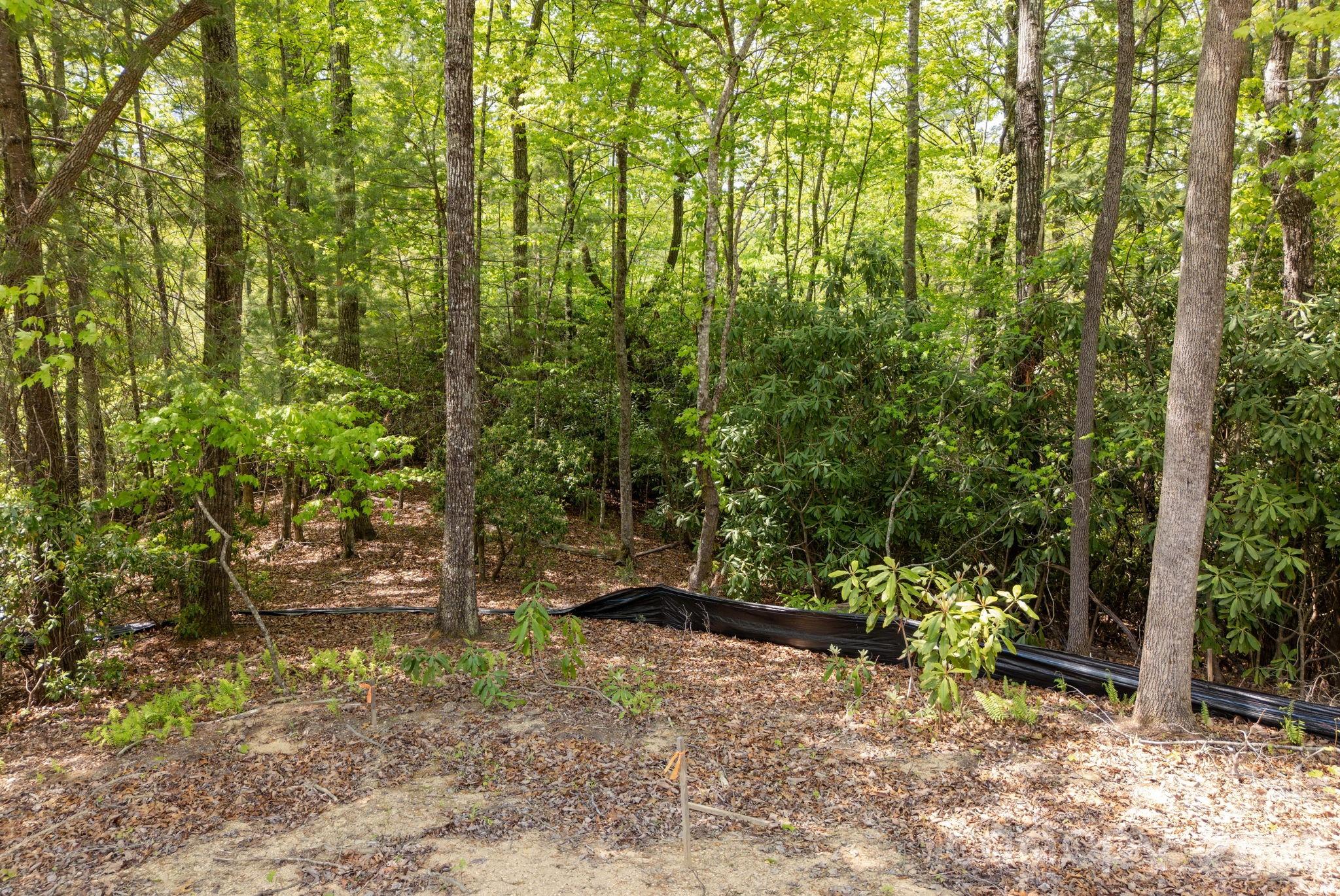 Lot at 106 Skydance Trail, Hendersonville, photo 14 of 15