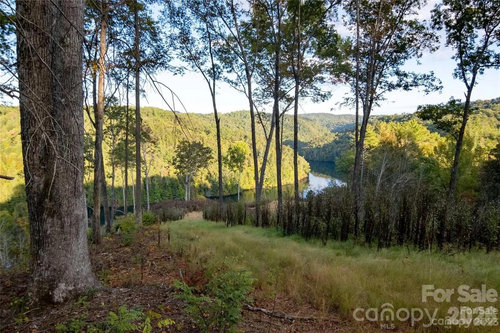 Acreage at 2108 River Hill Road, Murphy, photo 40 of 48