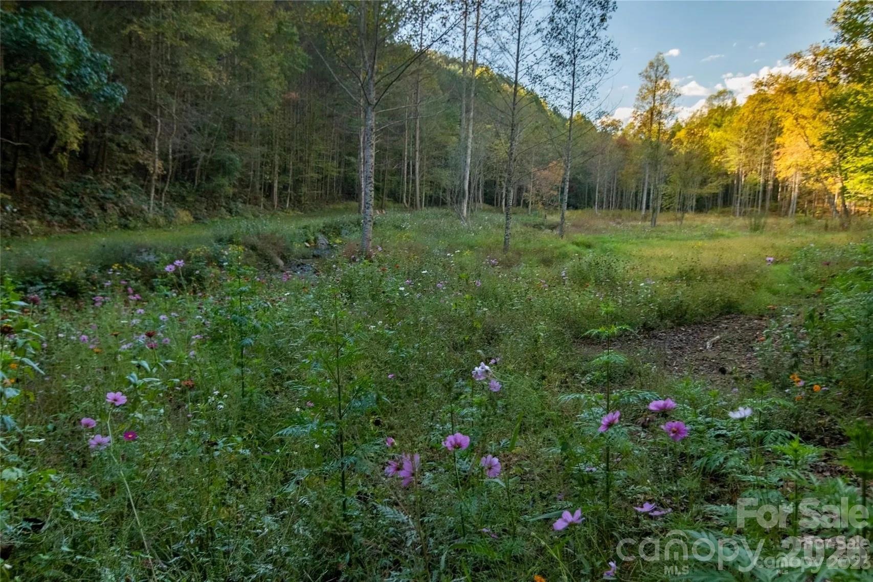 Acreage at 2108 River Hill Road, Murphy, photo 44 of 48