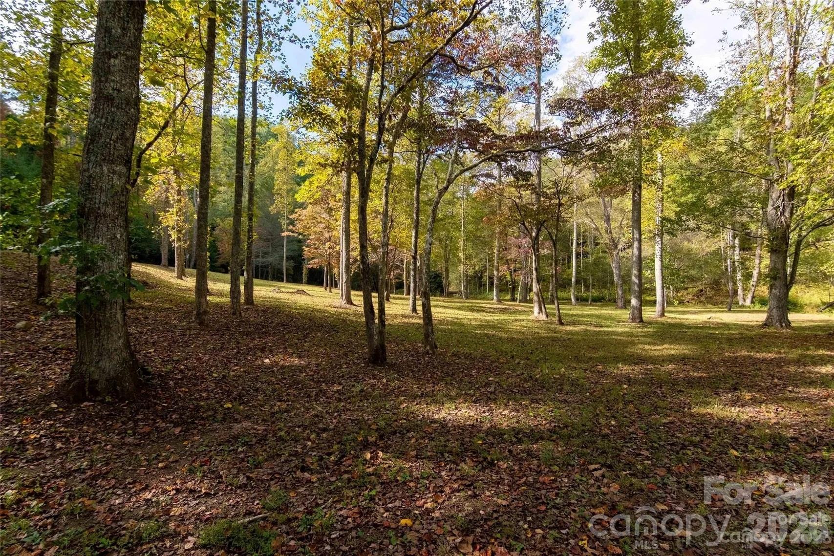 Acreage at 2108 River Hill Road, Murphy, photo 45 of 48