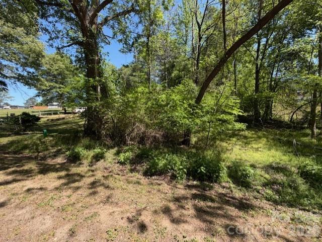 Acreage at 00 Graystone Avenue, Blackstock, photo 4 of 5