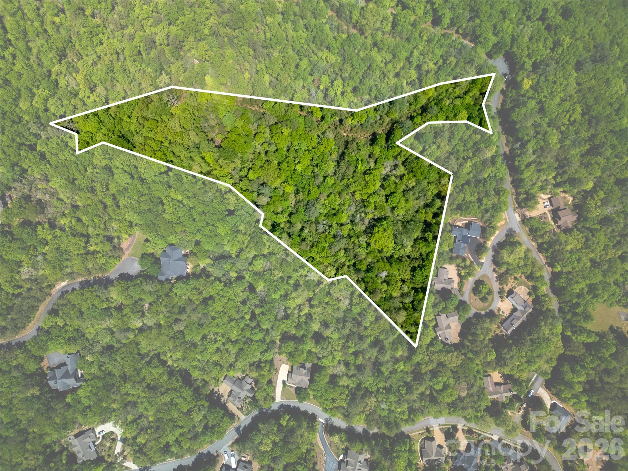 Lot at TBD Springhouse Trail, Brevard, photo 2 of 21