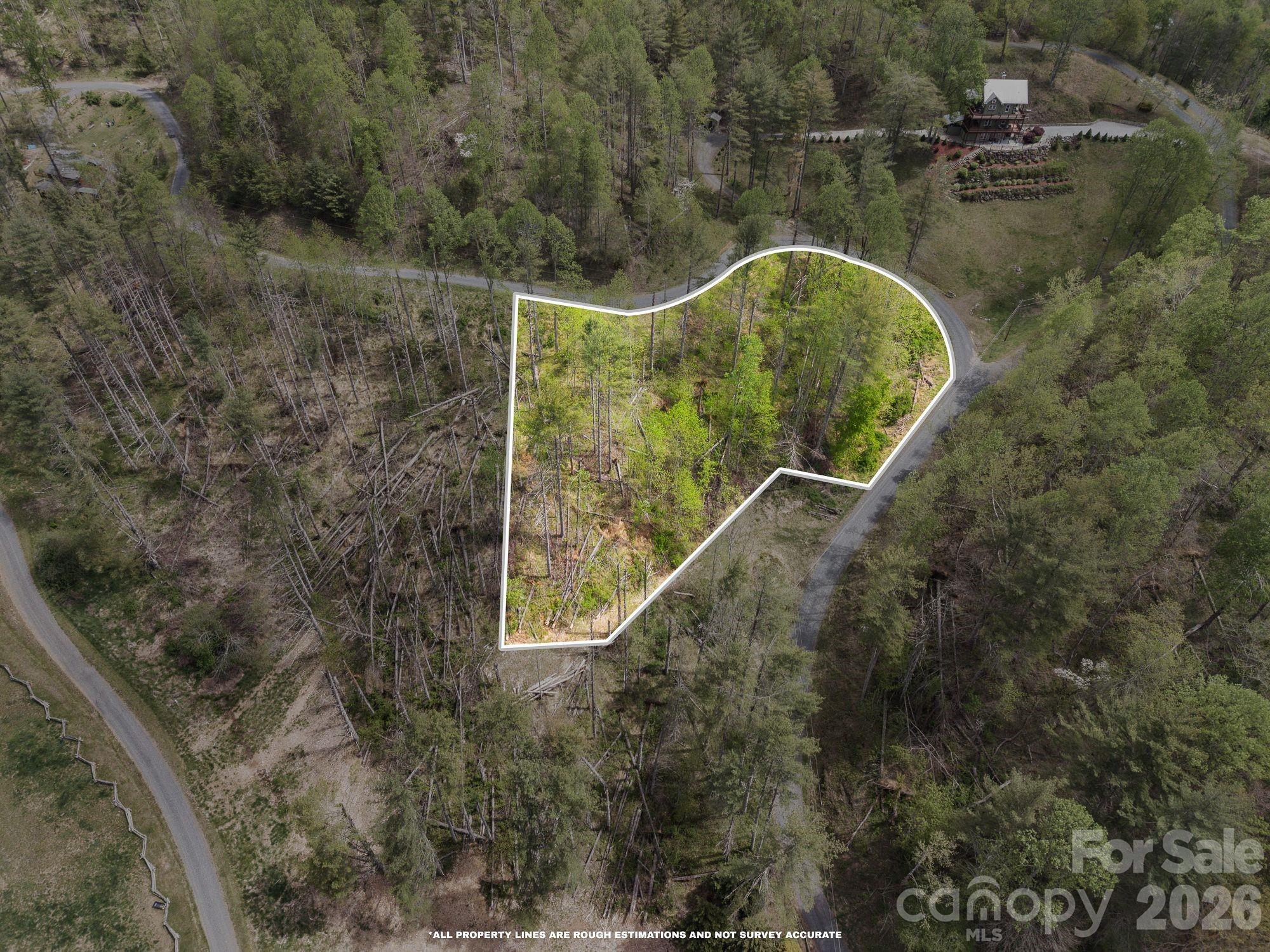 *boundary lines are approximate* - 0000 Mountain Crest Drive, Bakersville
