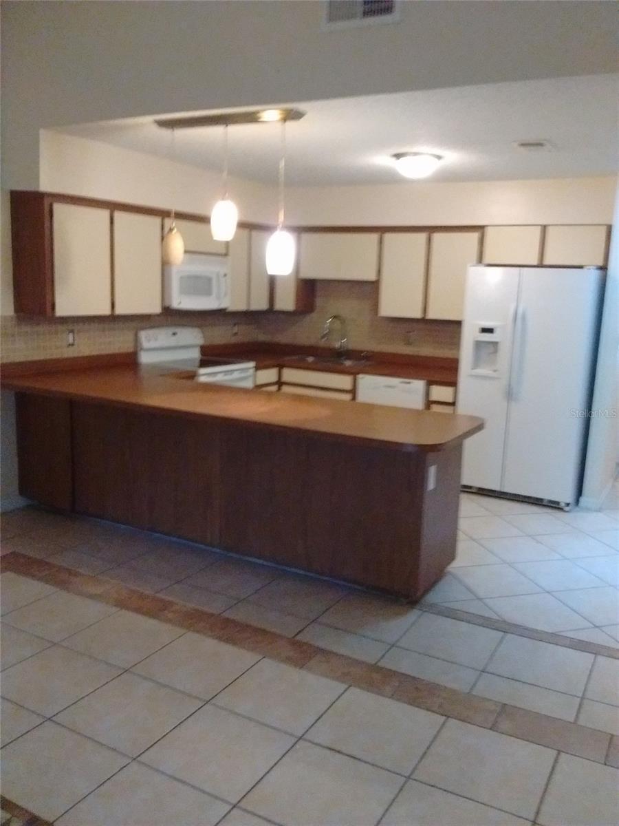 Half Duplex at 4033 ANNA DR, APOPKA, photo 3 of 13