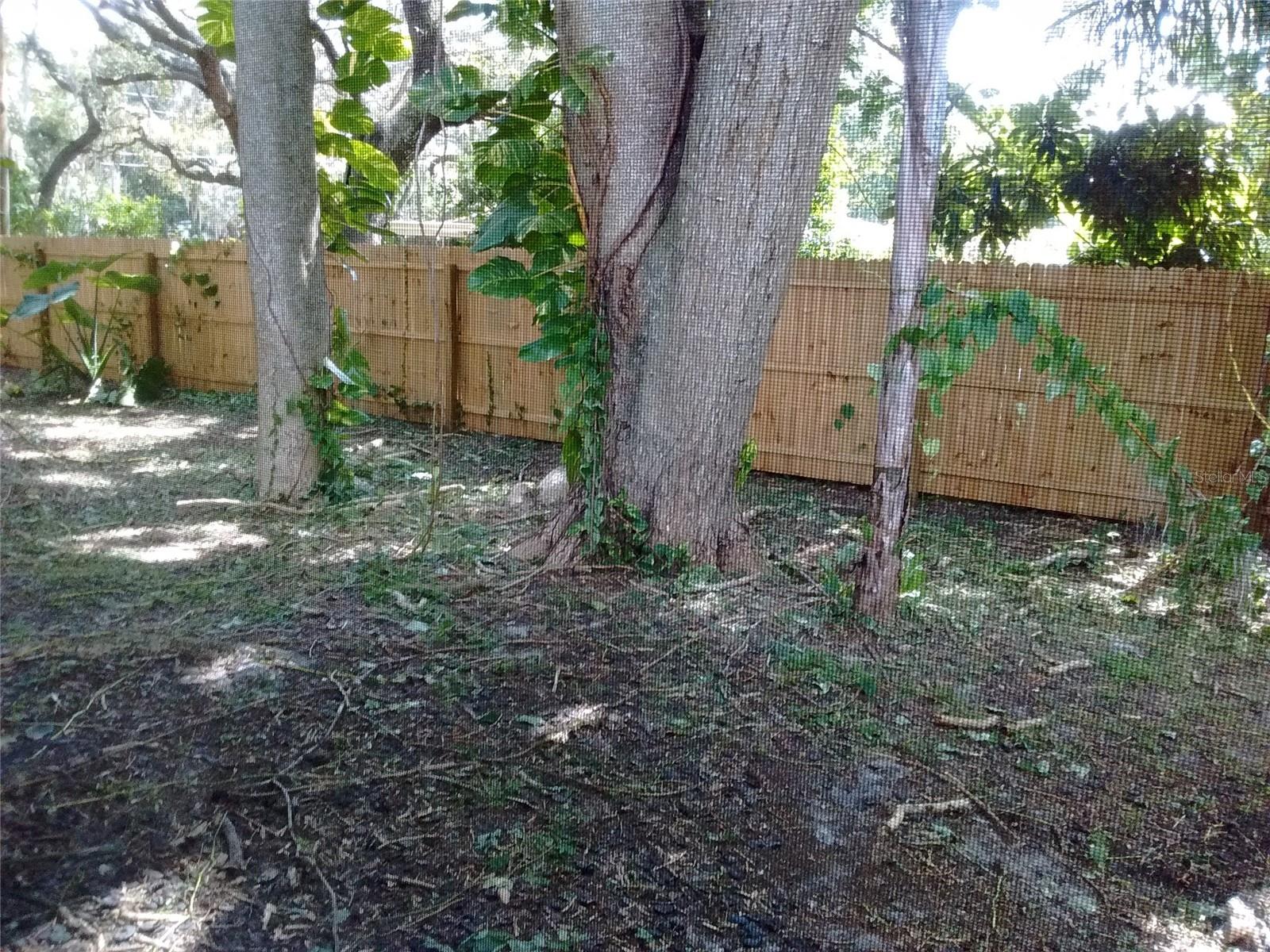 Half Duplex at 4033 ANNA DR, APOPKA, photo 13 of 13