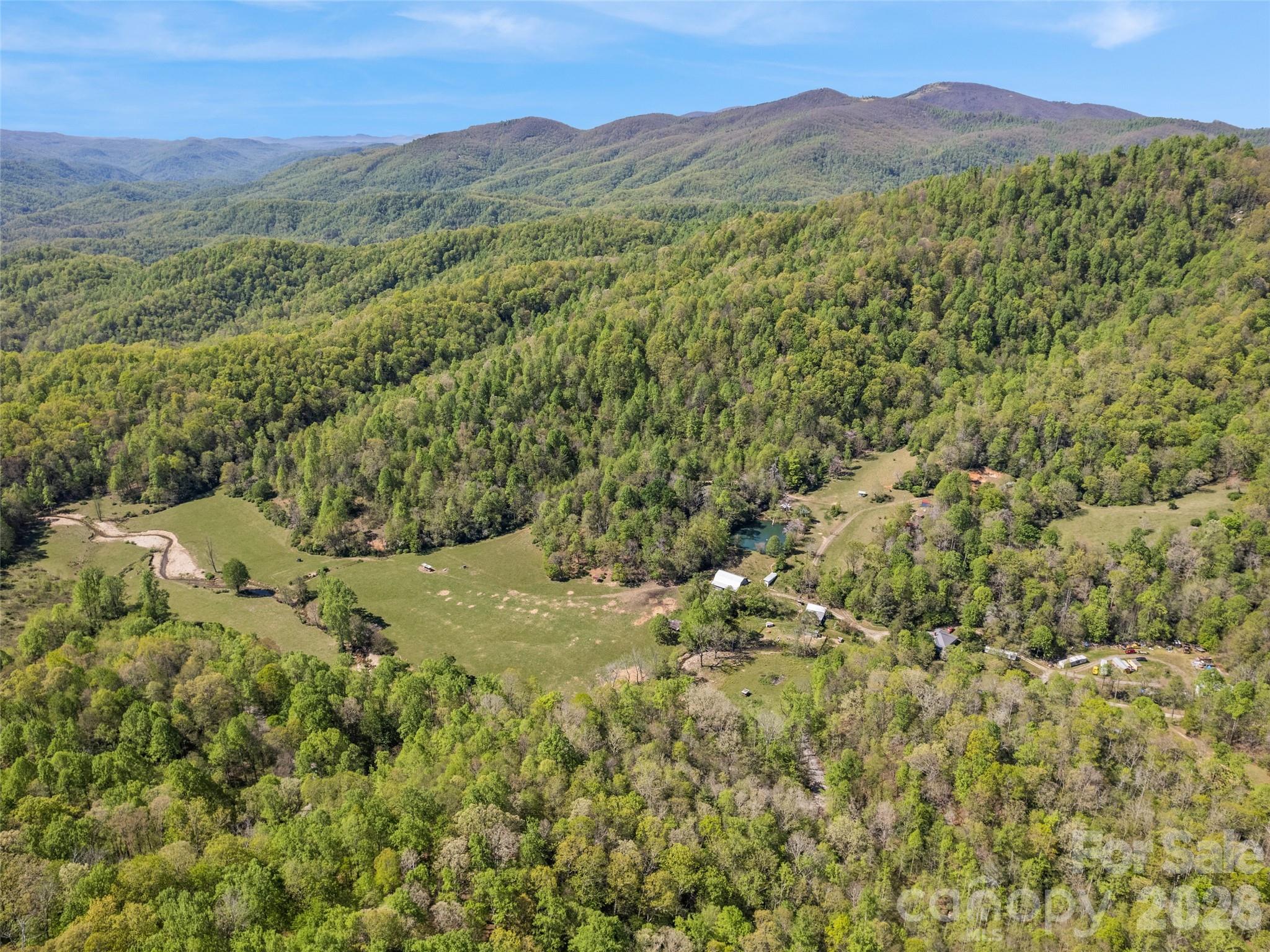Acreage at 1372 Sand Branch Road, Black Mountain, photo 2 of 45