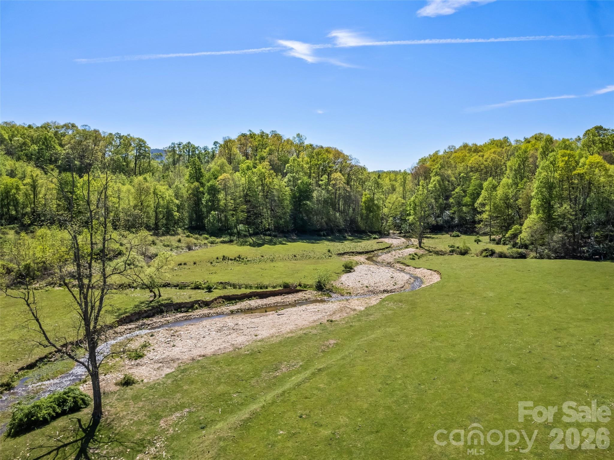 Acreage at 1372 Sand Branch Road, Black Mountain, photo 11 of 45