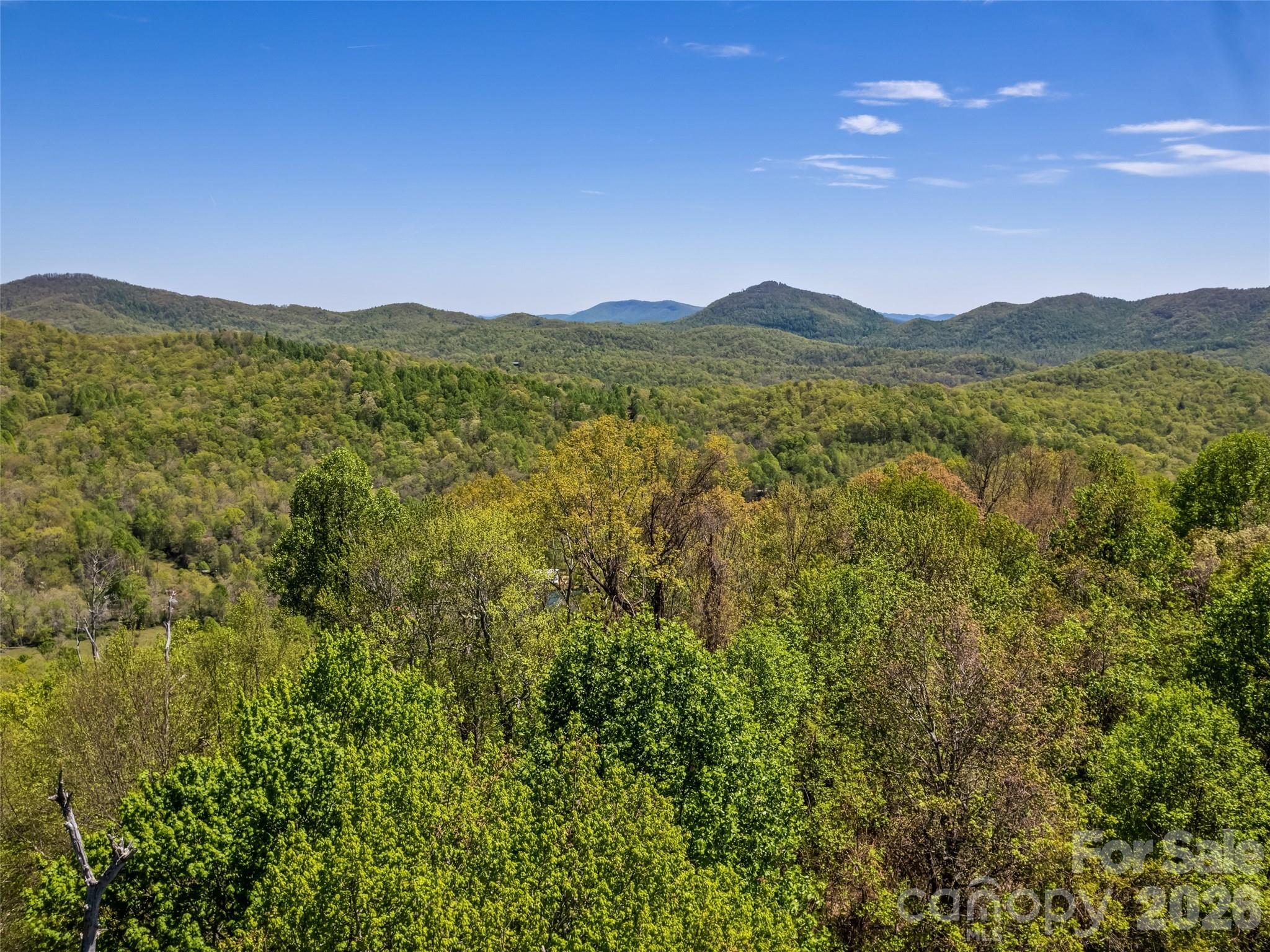 Acreage at 1372 Sand Branch Road, Black Mountain, photo 20 of 45