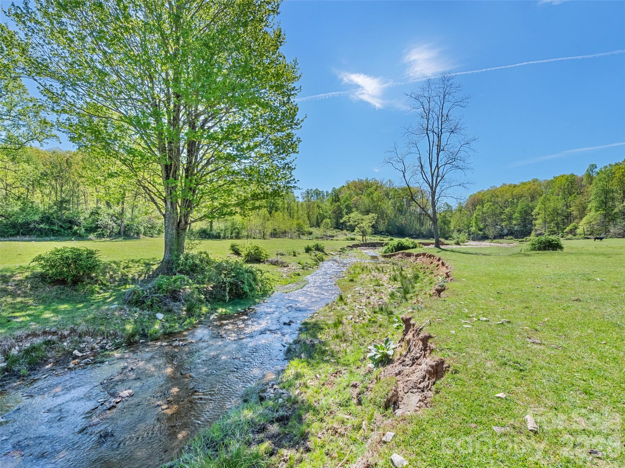 Acreage at 1372 Sand Branch Road, Black Mountain, photo 29 of 45