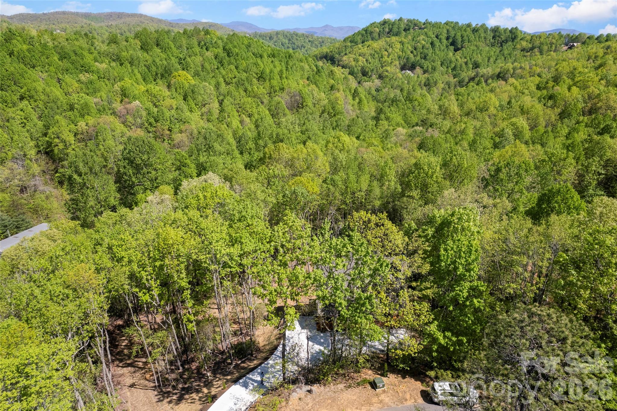 Single Family Residence at 233 Arcadia Falls Way, Black Mountain, photo 5 of 43