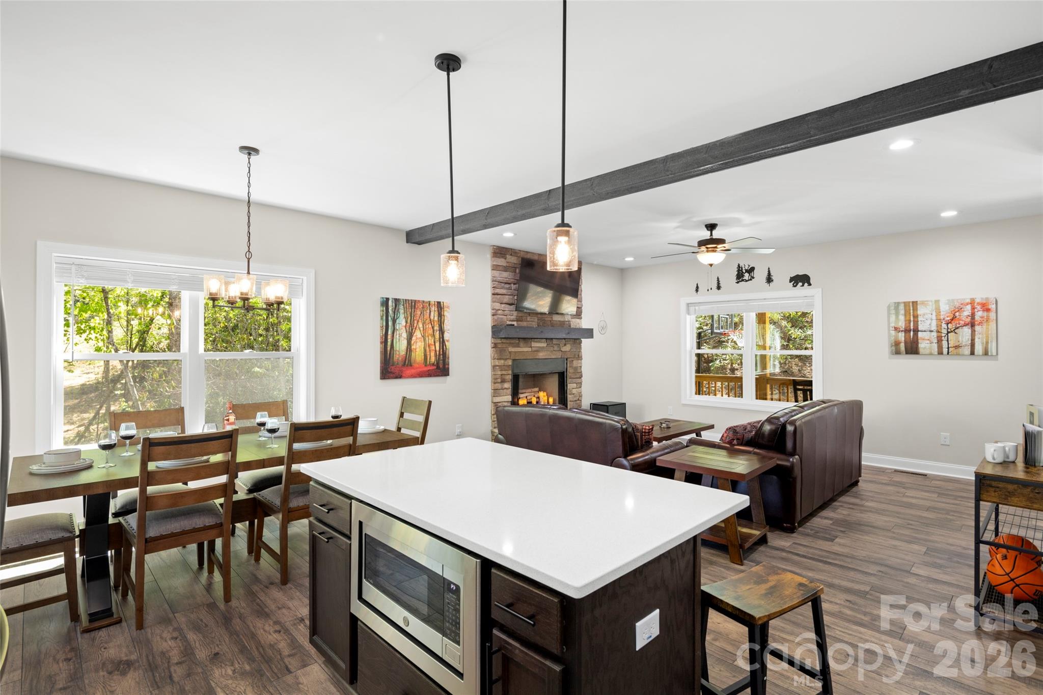 Single Family Residence at 233 Arcadia Falls Way, Black Mountain, photo 14 of 43