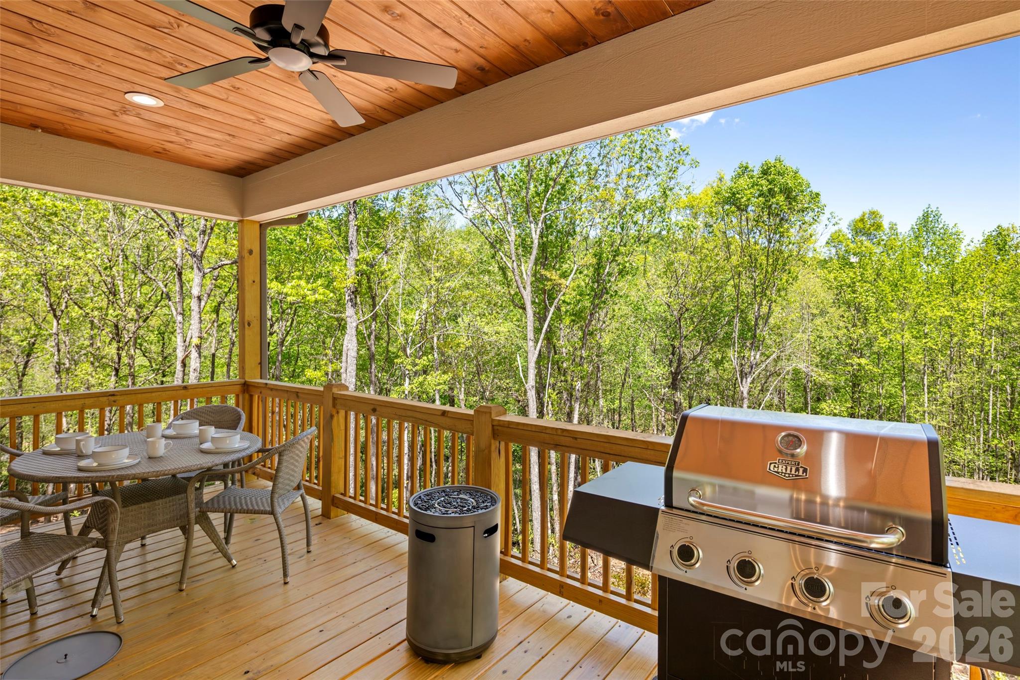 Single Family Residence at 233 Arcadia Falls Way, Black Mountain, photo 15 of 43