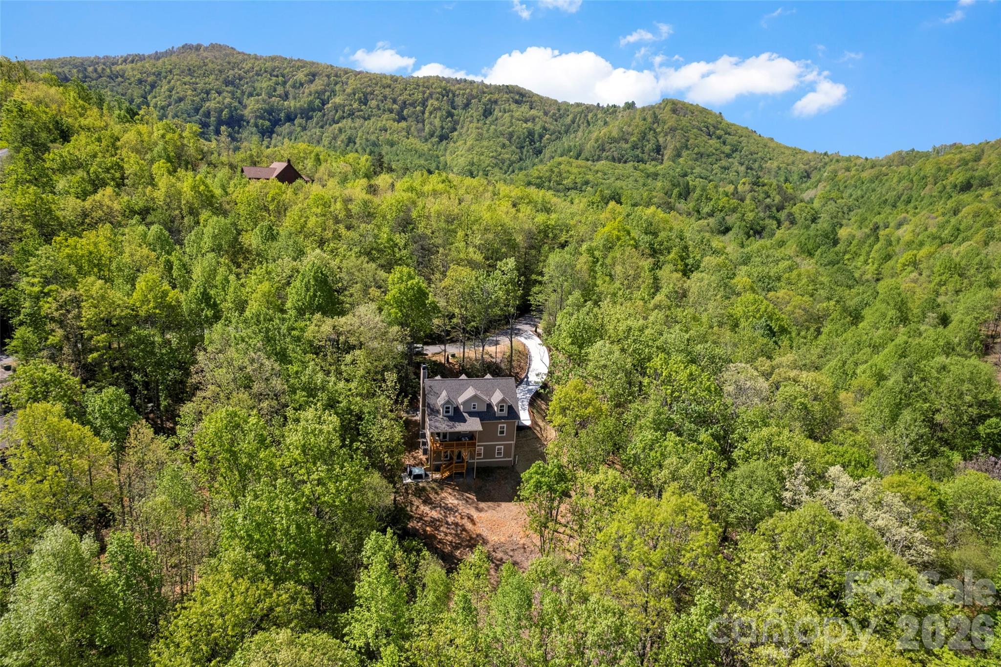 Single Family Residence at 233 Arcadia Falls Way, Black Mountain, photo 31 of 43