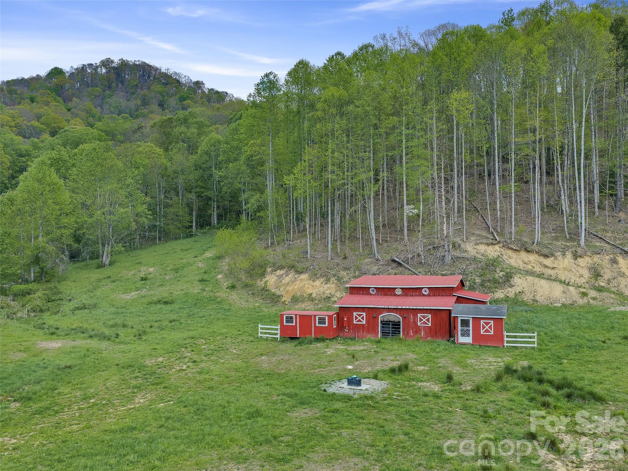 Acreage at 0 Odoms Chapel Road, Bakersville, photo 4 of 23