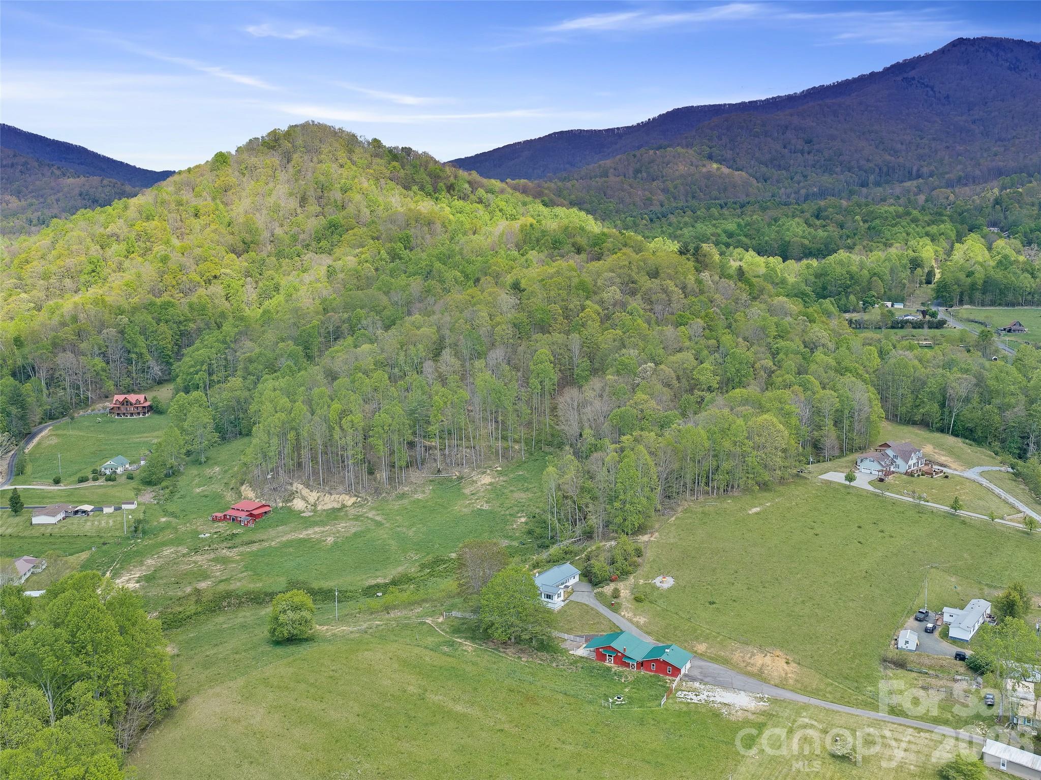 Acreage at 0 Odoms Chapel Road, Bakersville, photo 7 of 23