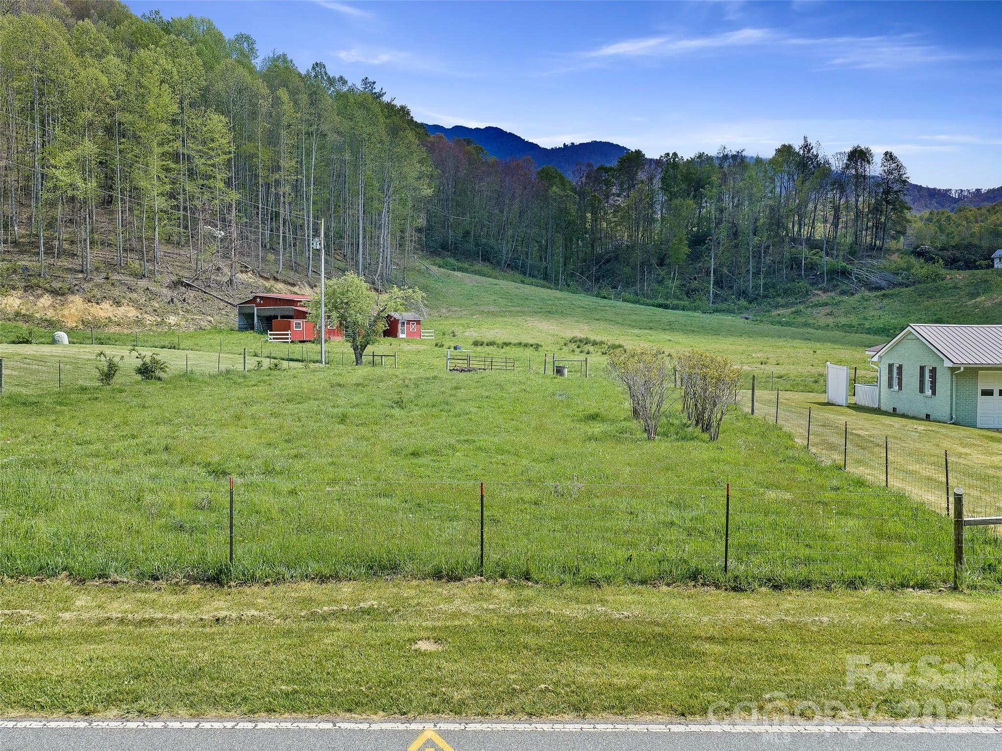 Acreage at 0 Odoms Chapel Road, Bakersville, photo 8 of 23