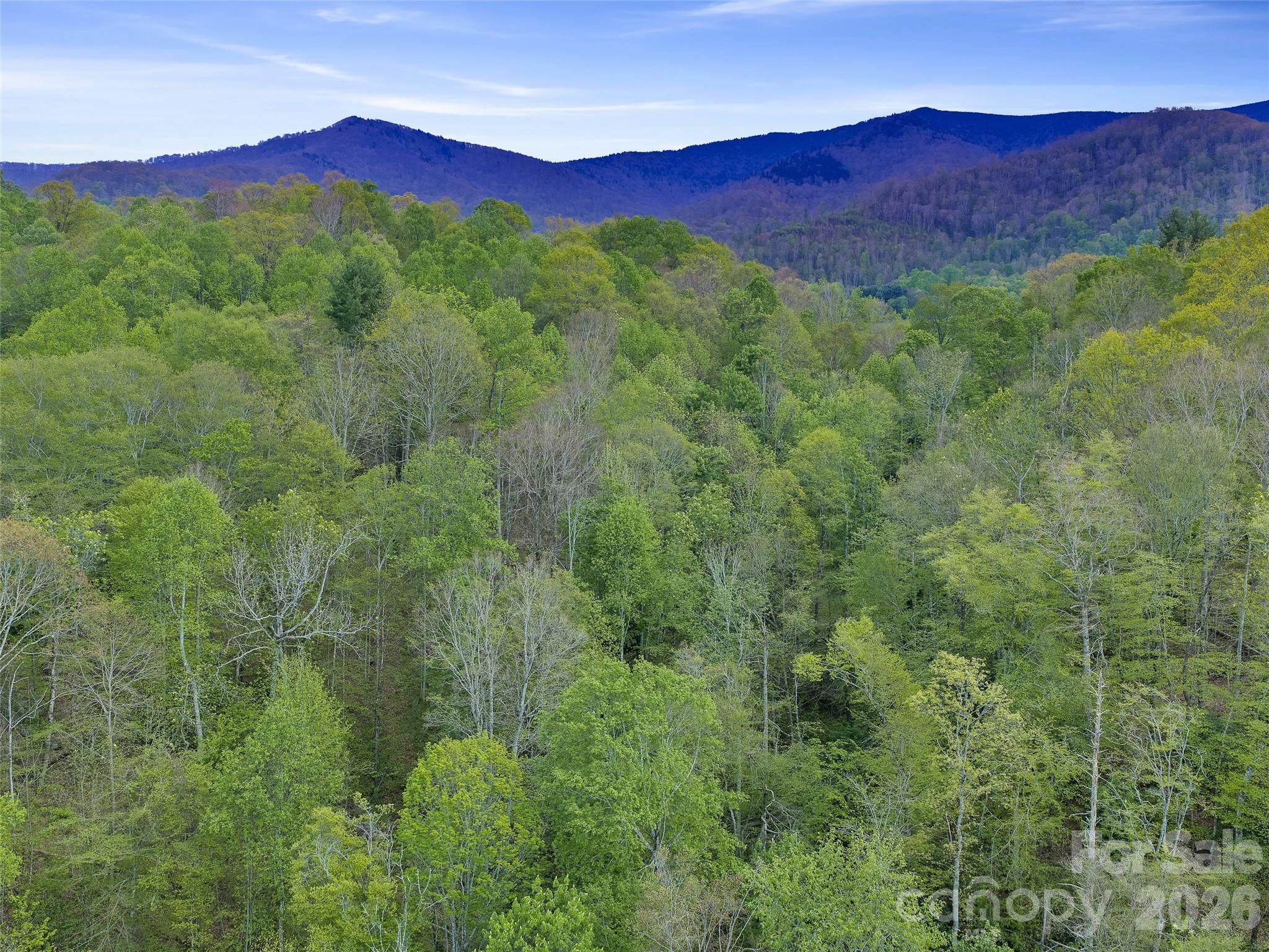Acreage at 0 Odoms Chapel Road, Bakersville, photo 12 of 23