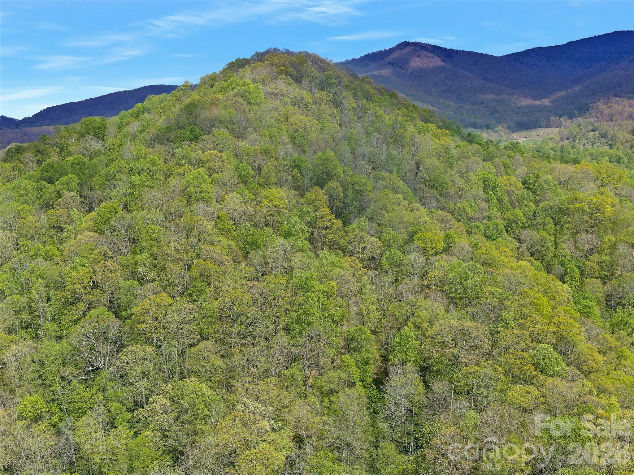 Acreage at 0 Odoms Chapel Road, Bakersville, photo 13 of 23