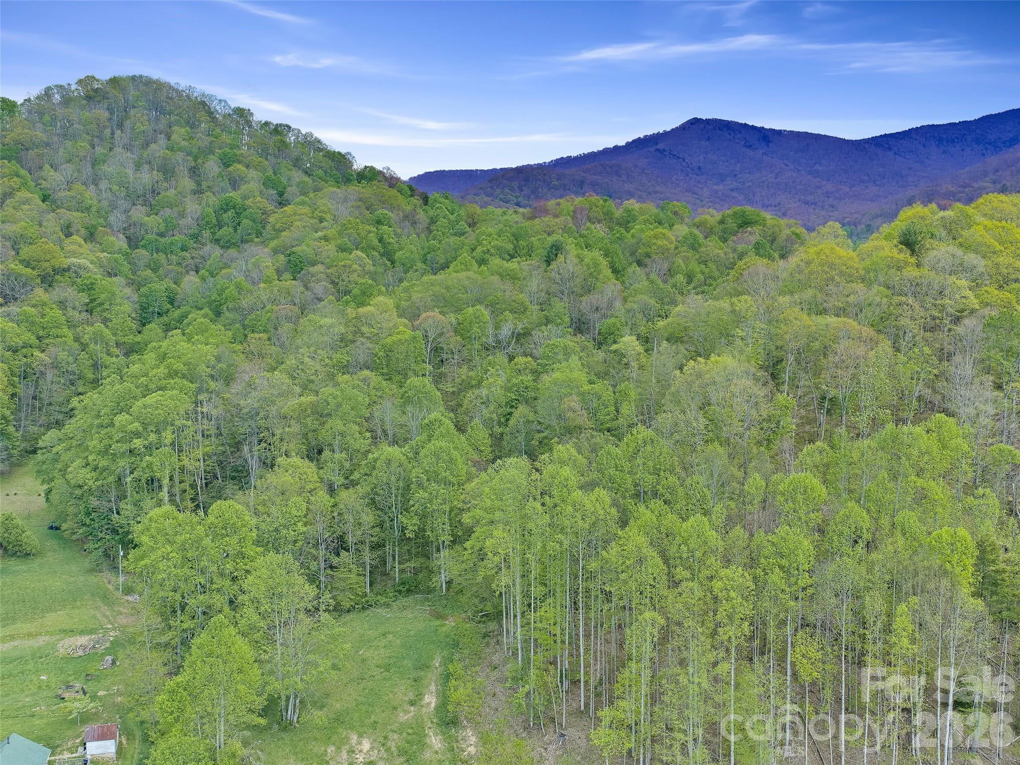 Acreage at 0 Odoms Chapel Road, Bakersville, photo 17 of 23