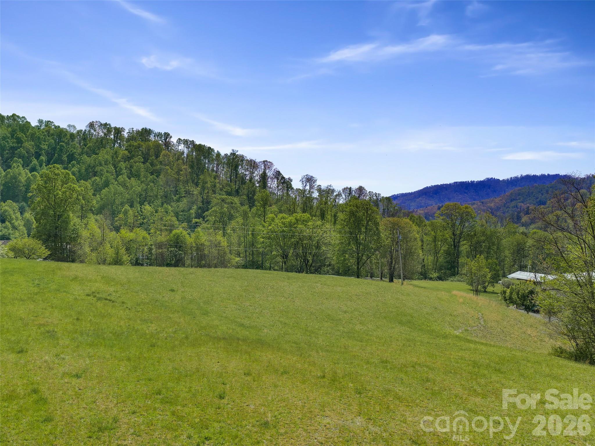 Acreage at 0 Odoms Chapel Road, Bakersville, photo 19 of 23