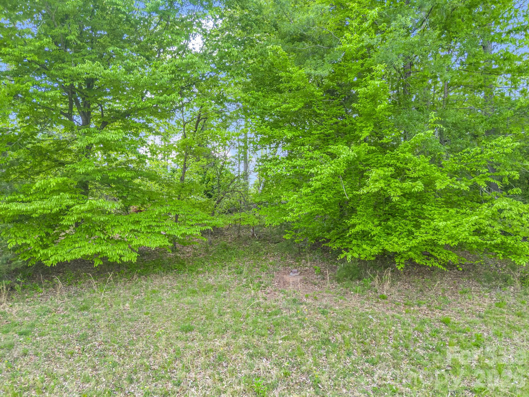 Acreage at 00 Smith Grove Road, Forest City, photo 5 of 20