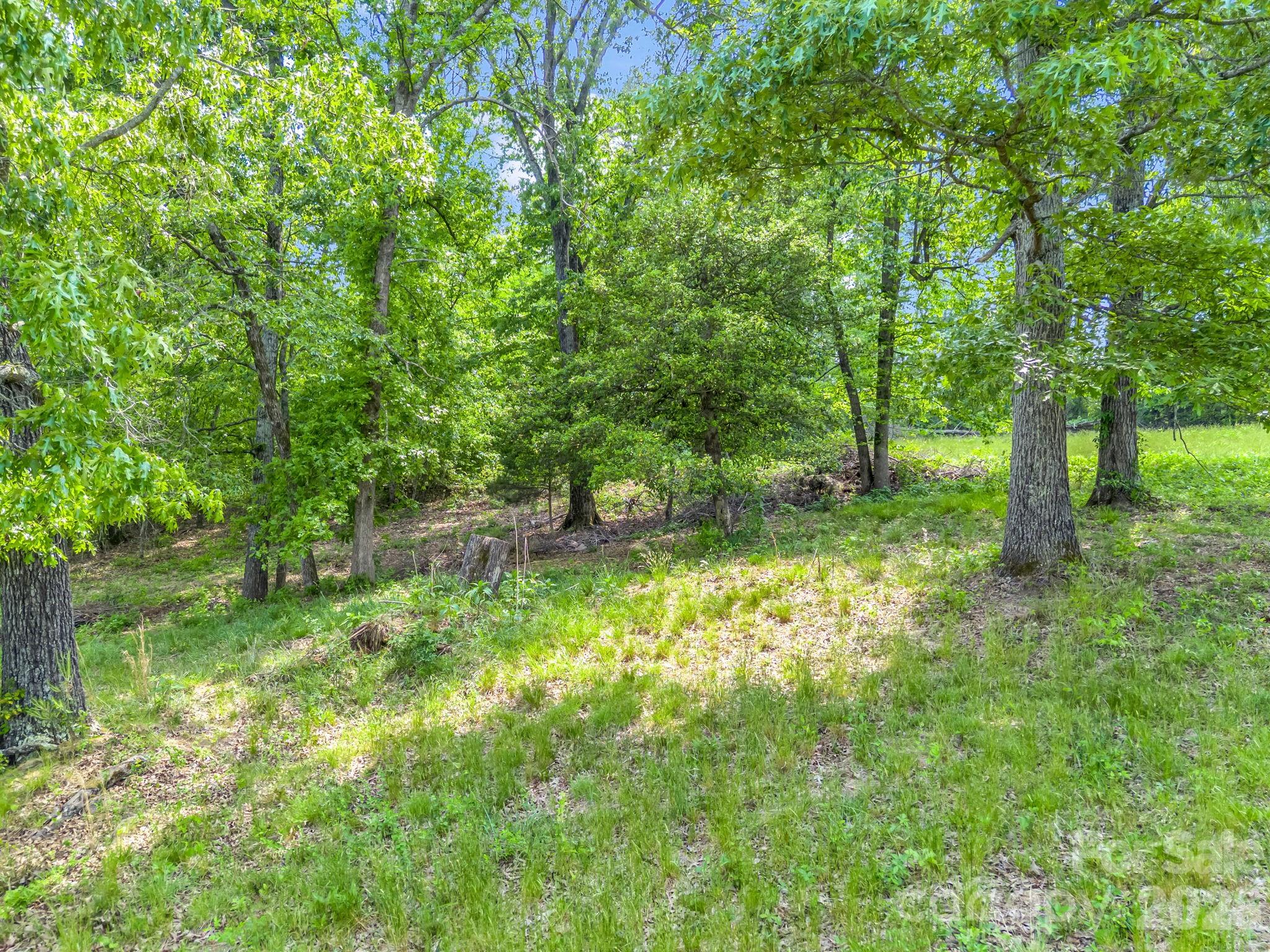 Acreage at 00 Smith Grove Road, Forest City, photo 6 of 20