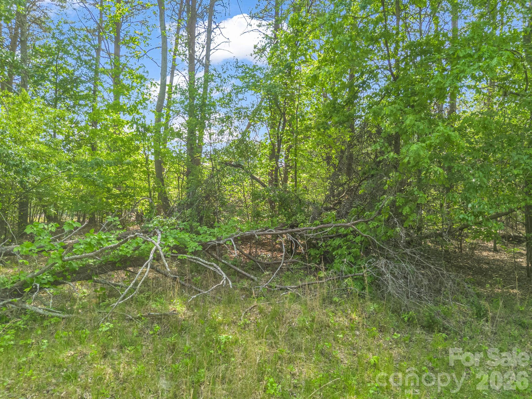 Acreage at 00 Smith Grove Road, Forest City, photo 9 of 20