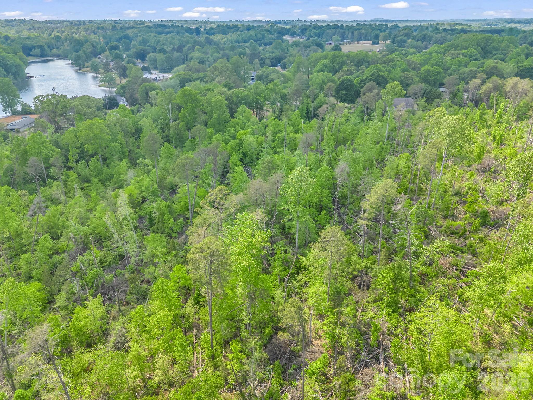 Acreage at 00 Smith Grove Road, Forest City, photo 14 of 20