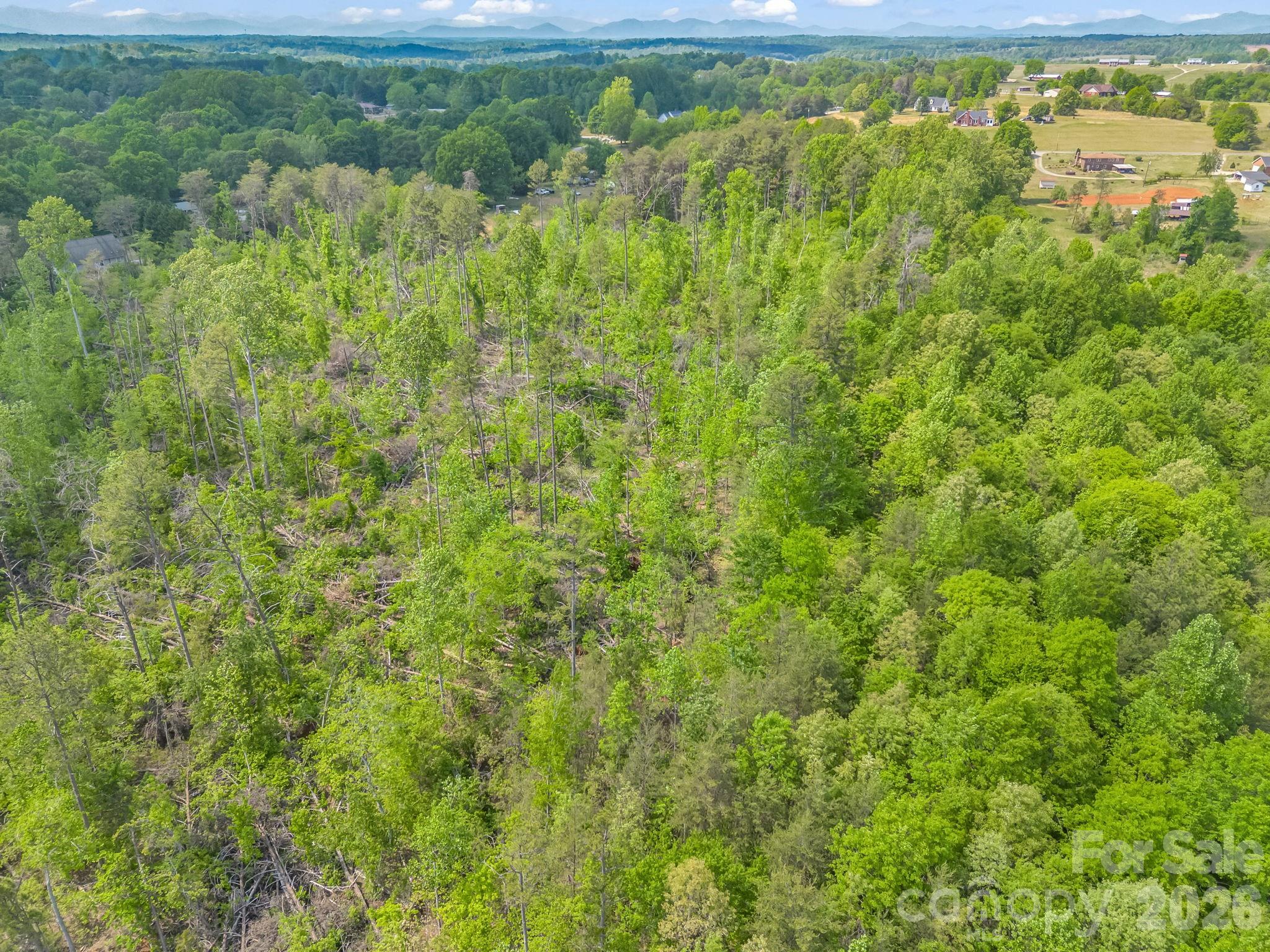 Acreage at 00 Smith Grove Road, Forest City, photo 15 of 20